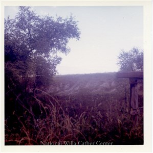 Image description is not available for PHO-4-W689-665